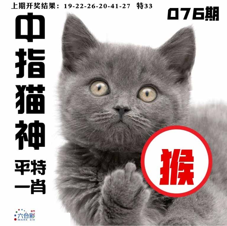 076期中指猫神[图]