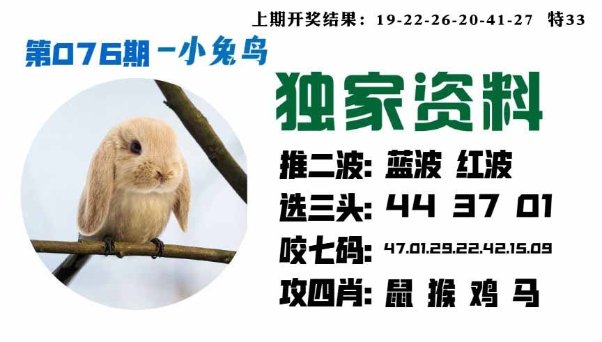 076期小兔鸟[图]